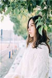 若逐光赴星海顾枫沈雾眠全集