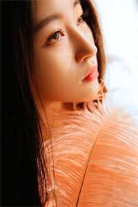 情终陌路再无你小说结局