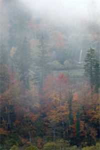 我高中状元后，秀才未婚夫悔疯了章节