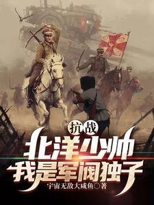 恰逢微光坠落时